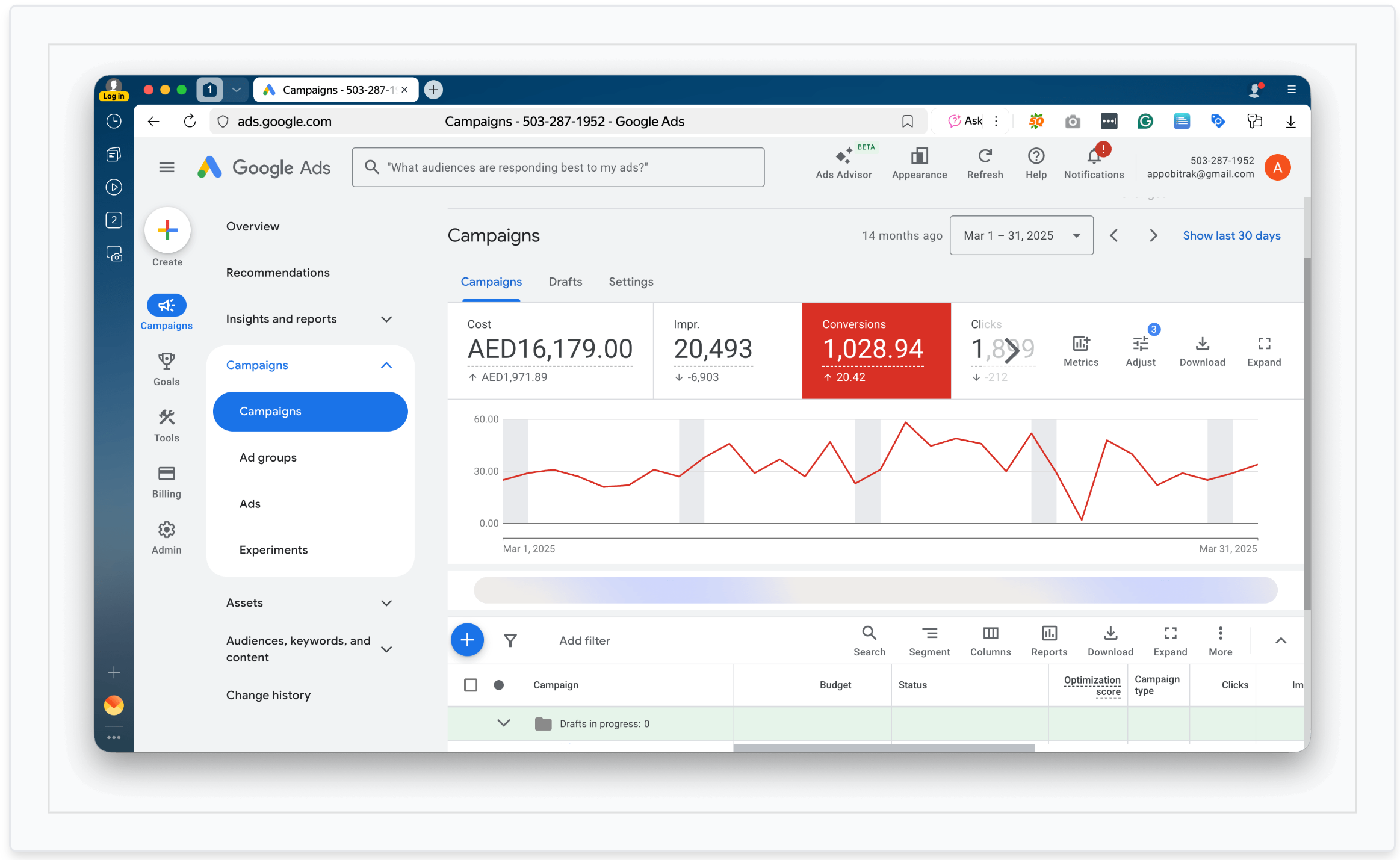 Google Ads and CAC optimization screenshot